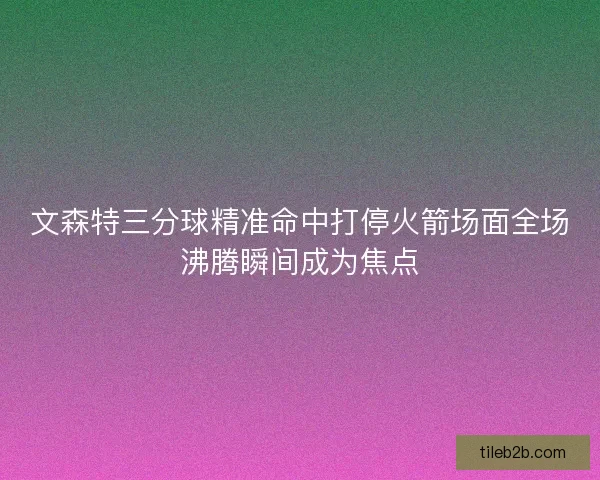文森特三分球精准命中打停火箭场面全场沸腾瞬间成为焦点