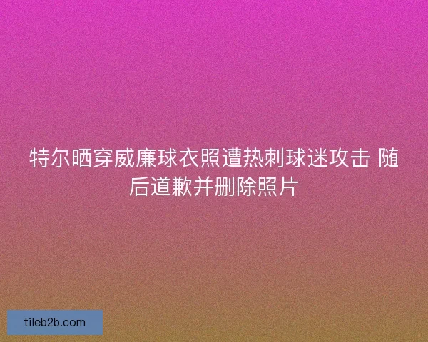 特尔晒穿威廉球衣照遭热刺球迷攻击 随后道歉并删除照片