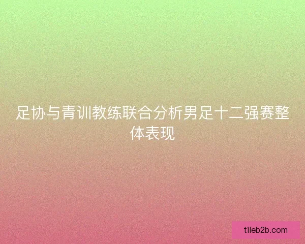 足协与青训教练联合分析男足十二强赛整体表现