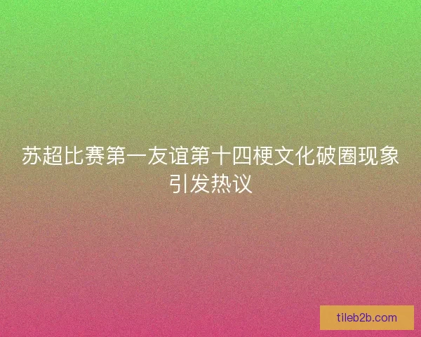 苏超比赛第一友谊第十四梗文化破圈现象引发热议