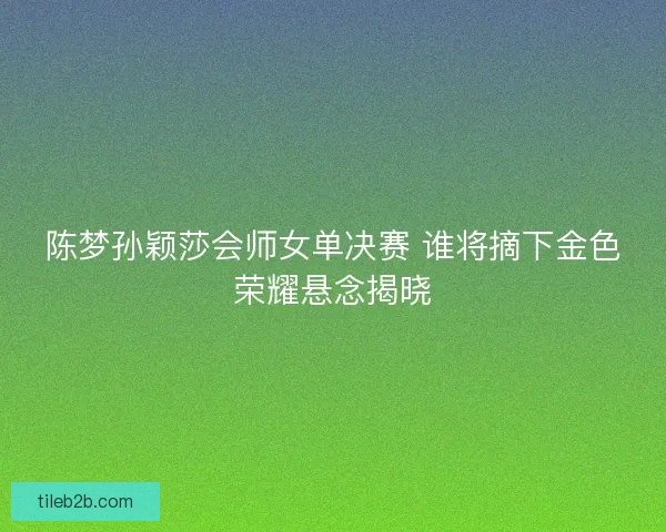 陈梦孙颖莎会师女单决赛 谁将摘下金色荣耀悬念揭晓