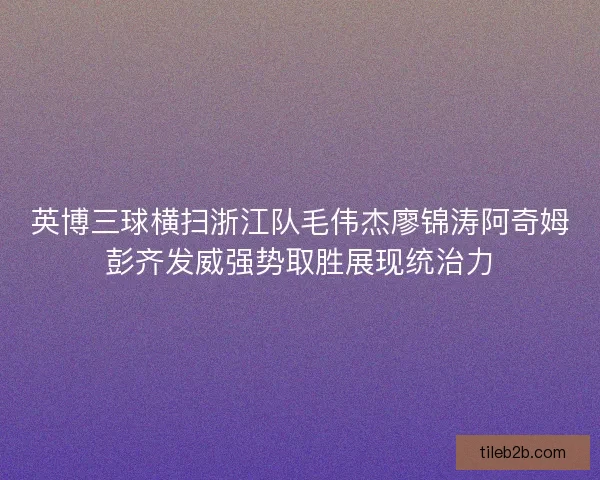 英博三球横扫浙江队毛伟杰廖锦涛阿奇姆彭齐发威强势取胜展现统治力