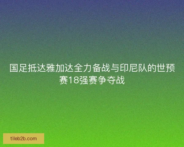 国足抵达雅加达全力备战与印尼队的世预赛18强赛争夺战