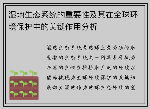 湿地生态系统的重要性及其在全球环境保护中的关键作用分析